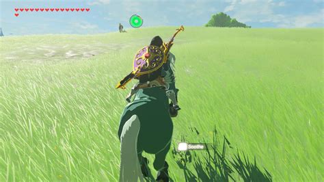 How To Find Tame And Care For Horses And Mounts In Zelda Breath Of