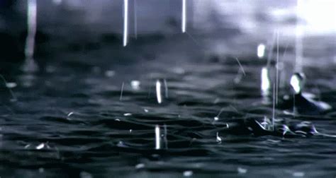 Rain Background  Rain Animated S Raining Animat