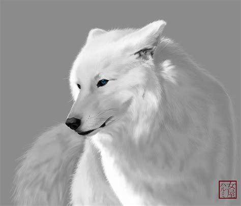 White Wolf By Uchiha Harumi On Deviantart
