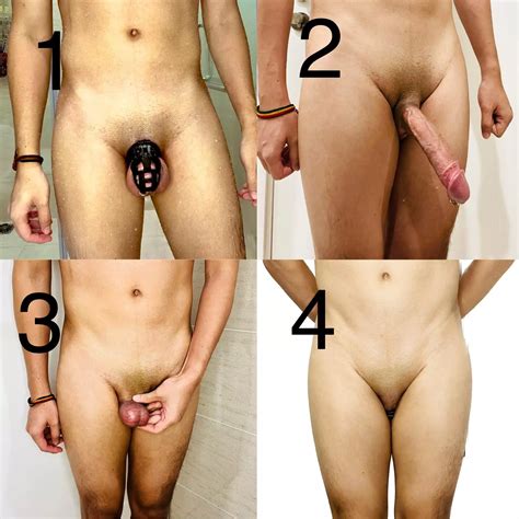 Which One Is Better Locked Castration Penectomy Or Nullo Nudes