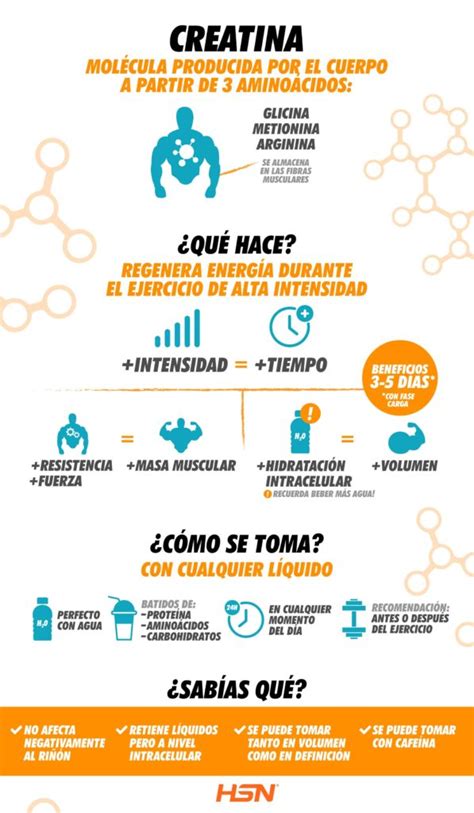 Qué Es La Creatina Y Qué Beneficios Tiene Para La Salud Creatina My