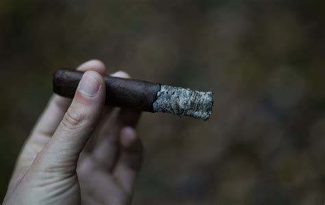 An Experts Expert Guide To Mastering Cigar Ash Cigar World