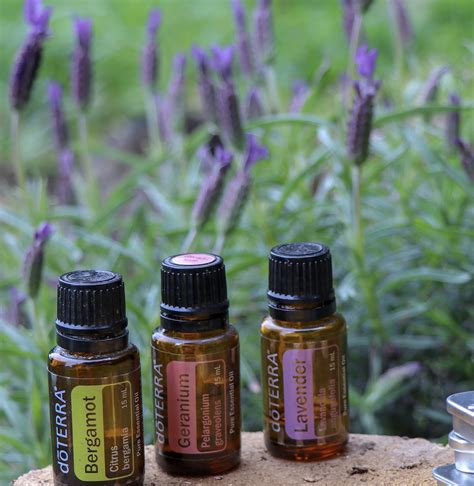 Digestive issues are almost always present in hypothyroid cases. Best Essential Oils For Itchy Skin - Empowerment For The Soul