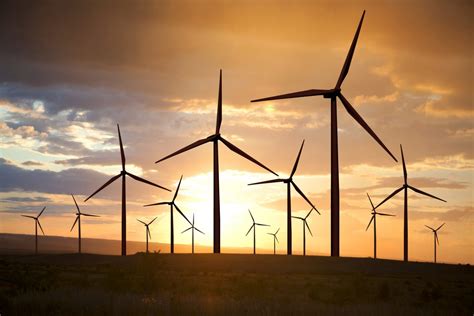 Wind Turbines On Sunset Sky Forager Funds