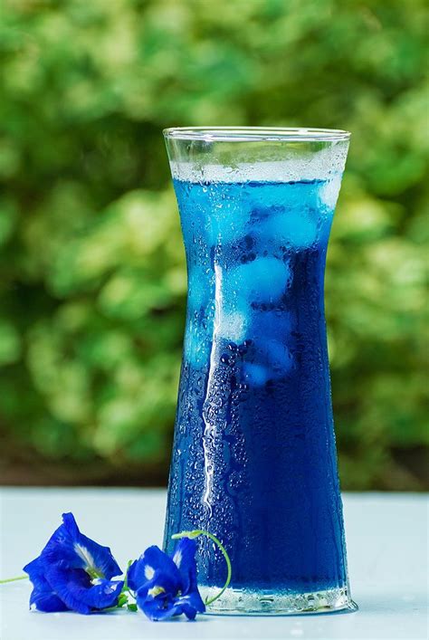 A herbal blue tea touts a number of health benefits, making it not only pleasing to the eyes, but also a healthy drink. Nutrition Within | Butterfly pea flower tea, Butterfly pea ...