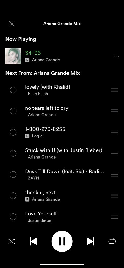 Screenshot Of Spotify Edit Playlist