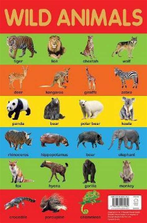 Wild Animals Chart By Miss And Chief Buy Wild Animals Chart By Miss