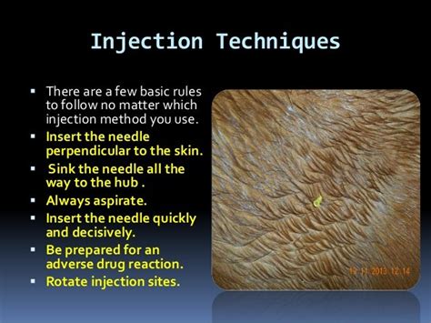 Injection techniques in equines and canines