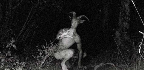 Goatman