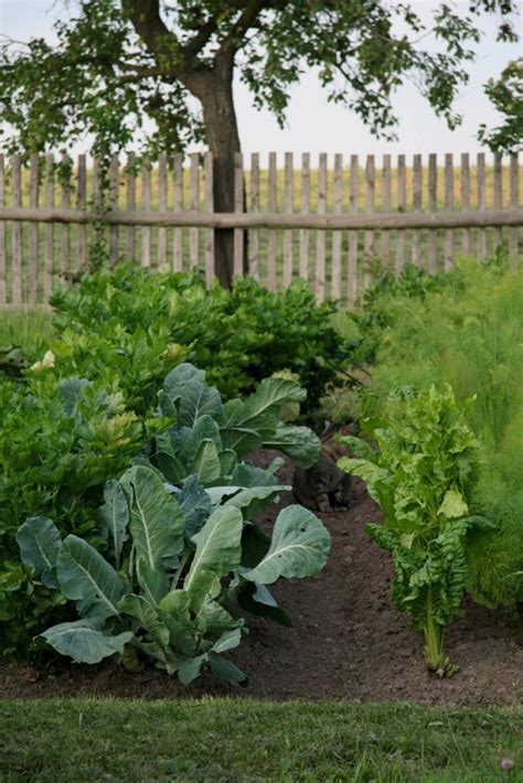 Check spelling or type a new query. 40 Beautiful Garden Fence Ideas