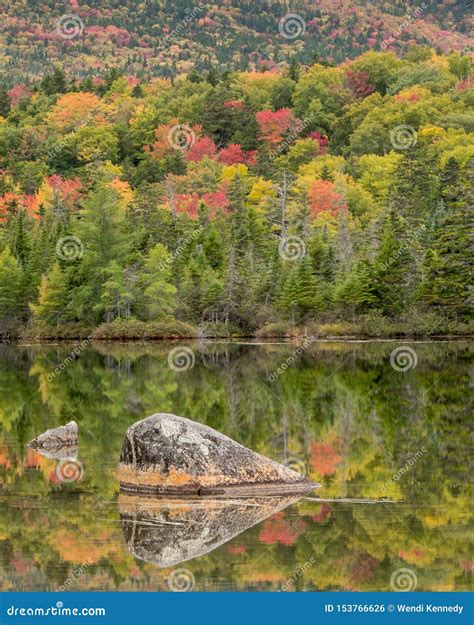 Fall Foliage By A Lake In Northern Maine Stock Photo Image Of Leaves