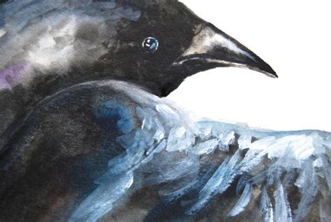 Watercolor Painting Original Painting Crow In Flight Large Painting