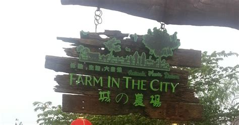 Farm in the city awesome! Farm in the City @Seri Kembangan | Occasional Traveller