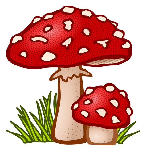 Mushroom Clipart Printable Mushroom Printable Transparent Free For