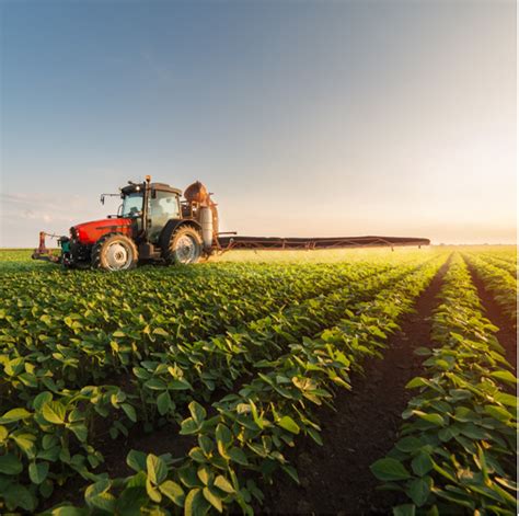 Latest current agriculture events on crop production & recent crop pricing. 2018 Agriculture Industry Outlook: Growth Remains Stagnant ...