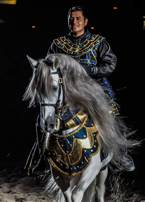 Pin By Md On Horses Medieval Horse Horse Costumes Horses