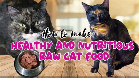 Homemade Healthy And Nutritious Raw Cat Food Youtube