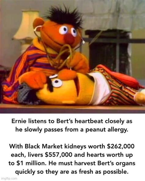 Dark Bert Imgflip