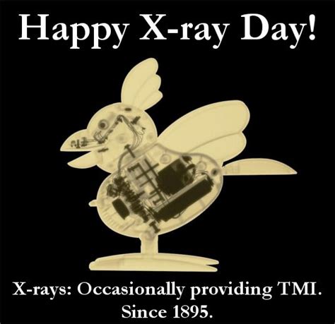 232 Best Xray Tech Humor Images On Pinterest Radiology Humor Work