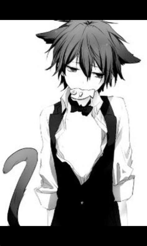 Cute Anime Boy With Cat Ears Cats Blog