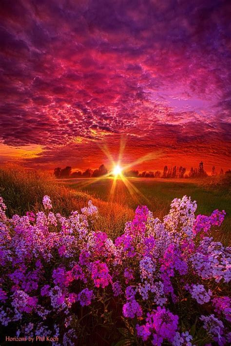 1351 Best Sunrise Sunset Images On Pinterest Amazing Places