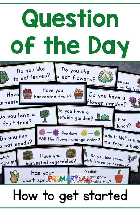 Getting Started With The Question Of The Day Routine Primary Delight