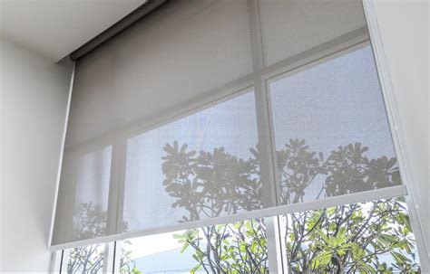 Benefits Drawbacks And Uses Of Sheer Roller Blinds