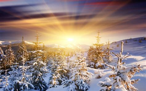 Winter Sunrise Wallpapers Wallpaper Cave