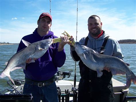 Milford Reservoir Blue Cats Catfish And Sturgeon Catfish And Sturgeon