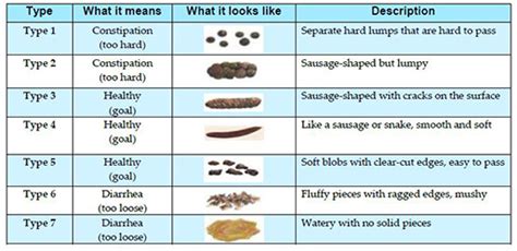 Tips For Healthy Bowel Movements