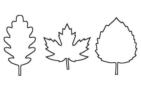 Looking for leaf outline printable muabandiaoc info? Leaf Template | Free Printable Leaf Outlines - One Little ...