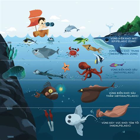 Types Of Marine Creatures Pin On Share Your Very Best Scavenger Hunt