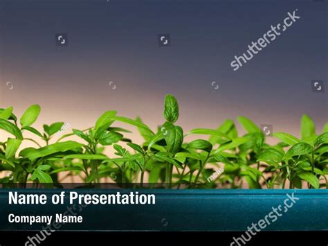 Plants New Powerpoint Template Plants New Powerpoint Background