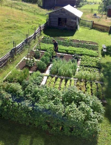 70 Affordable Backyard Vegetable Garden Design Ideas Decoradeas