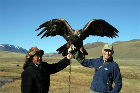 Sii433ocal Golden Eagle Hunting Wolves
