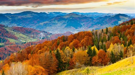 Colorful Forest On Mountain Autumn Landscape Beautiful
