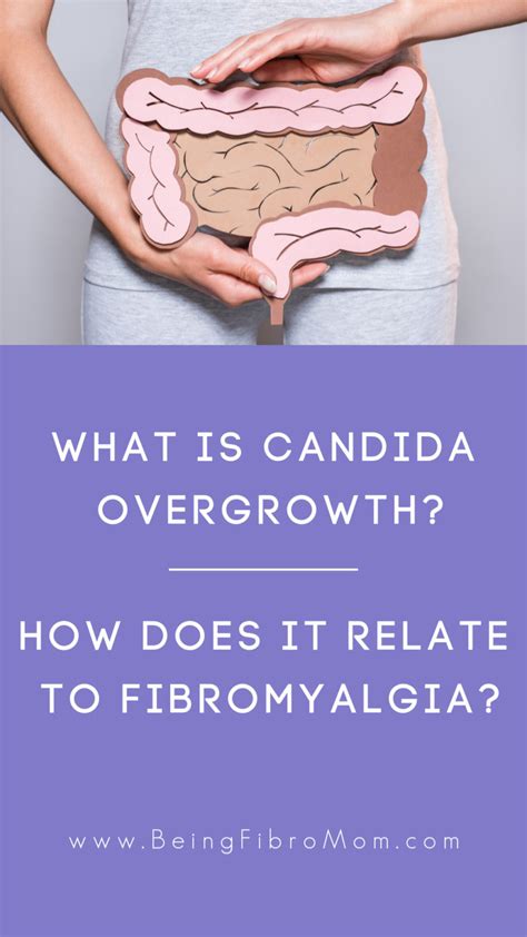 What Is Candida Overgrowth Beingfibromom Fibromyalgia Candida