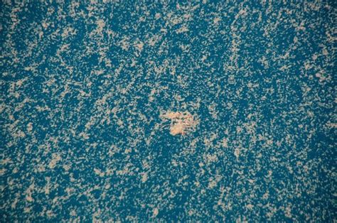Turkey's environment minister pledged on sunday to defeat a plague of sea snot threatening the sea of marmara with a disaster management plan he said would secure its future. Coming Soon to a Beach Near You: Sea Snot - Neatorama