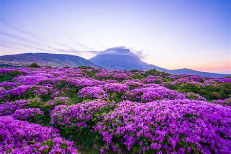 Top 10 Amazing Attractions In Jeju Island One Shouldnt Miss Kworld Now