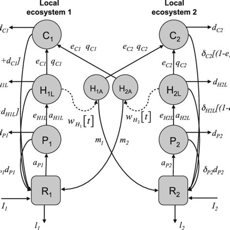 Diagram Of Our Meta Ecosystem Model Of Coupled Local Ecosystems Each