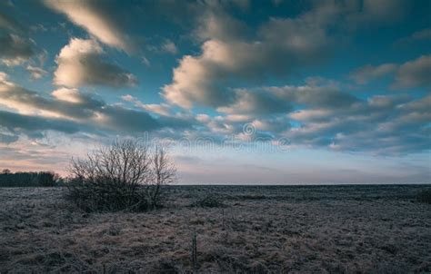 Winter Moring Among Fields Stock Image Image Of Evening 209076599