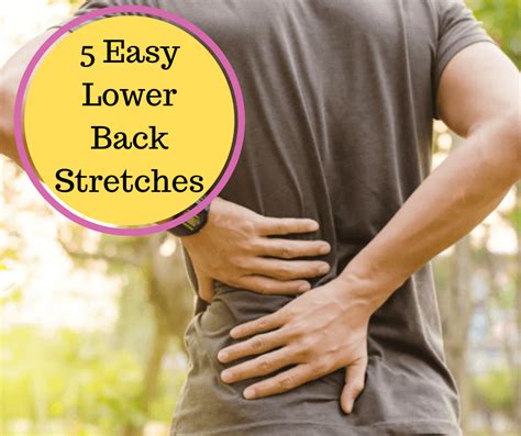 Chiropractor In Orion Charter Township 5 Lower Back Stretches To