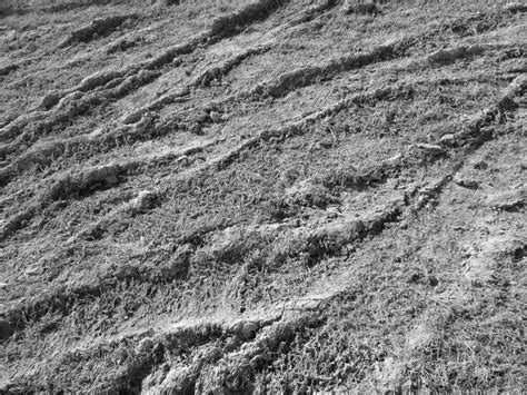 Dirt Texture 2 Free Stock Photo Public Domain Pictures