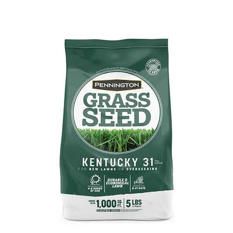 Seedranch Kentucky 31 Tall Fescue Grass Seed 50 Ubicaciondepersonas