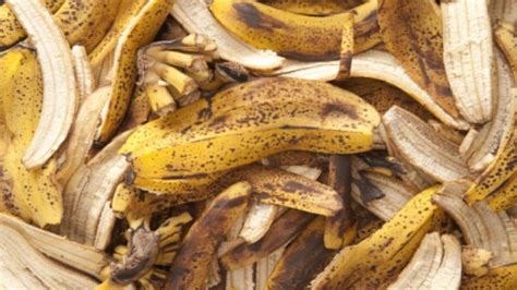Stop Throwing Away Banana Peels This Is How To Reuse Them Again Youtube