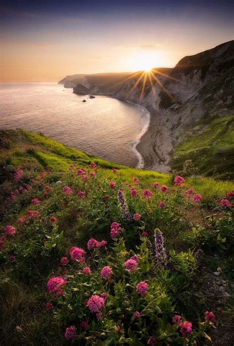 Dorset England Uk Landscapes Beautiful Landscapes Amazing Nature