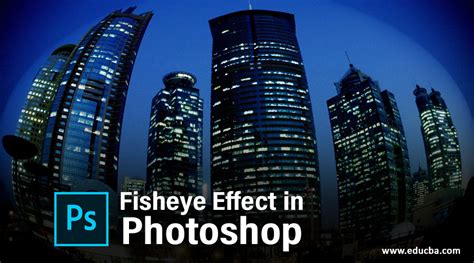 Fisheye Effect In Photoshop Creating Fisheye Effect In Your Image