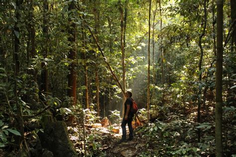Adi, rezz, ijau, wayne idea asal & penasihat : Gunung Mulu National Park