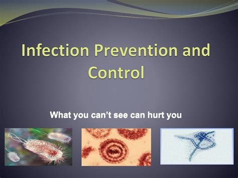 Ppt Infection Prevention And Control Powerpoint Presentation Free