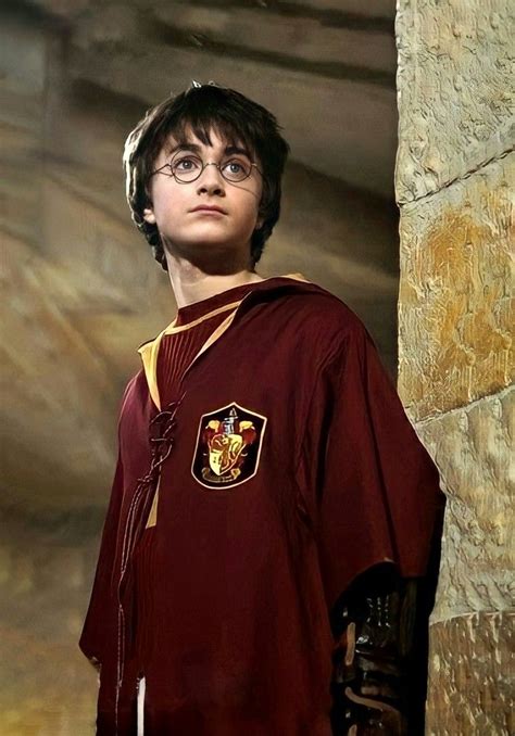 Harry Potter Apanhador Poster